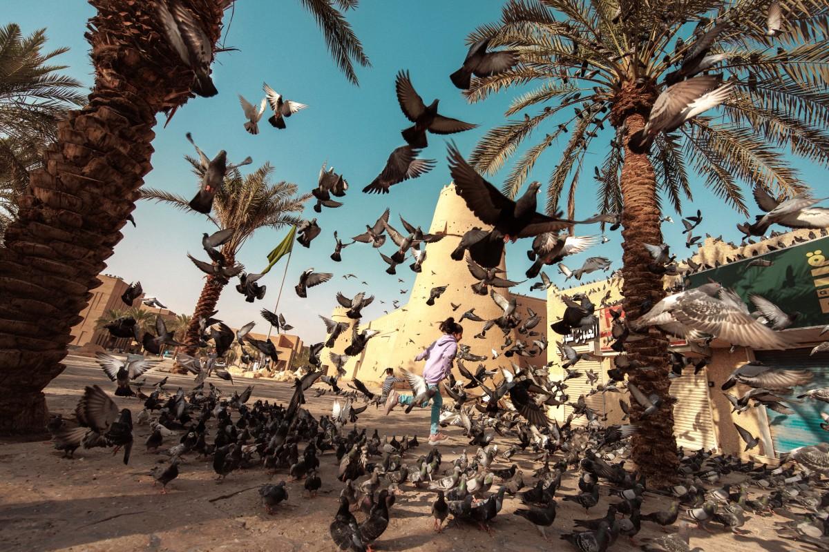 Everything you need to know about visiting Riyadh with kids