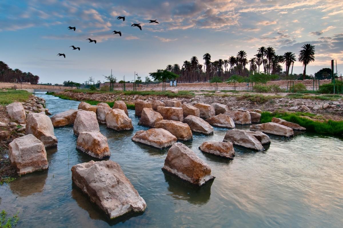 أجمل 5 حدائق ومنتزهات في الرياض ننصح بزيارتها