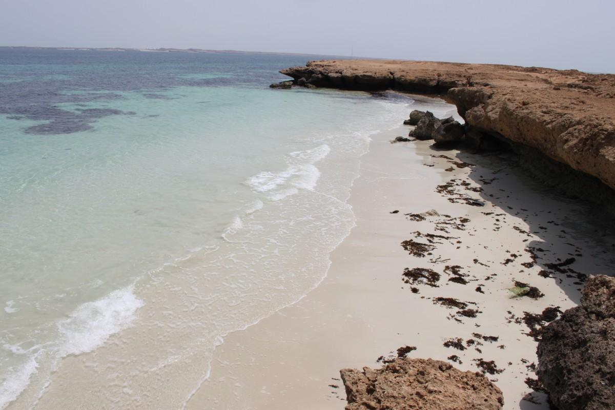 أفضل 6 شواطئ في السعودية